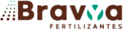 logo_bravya